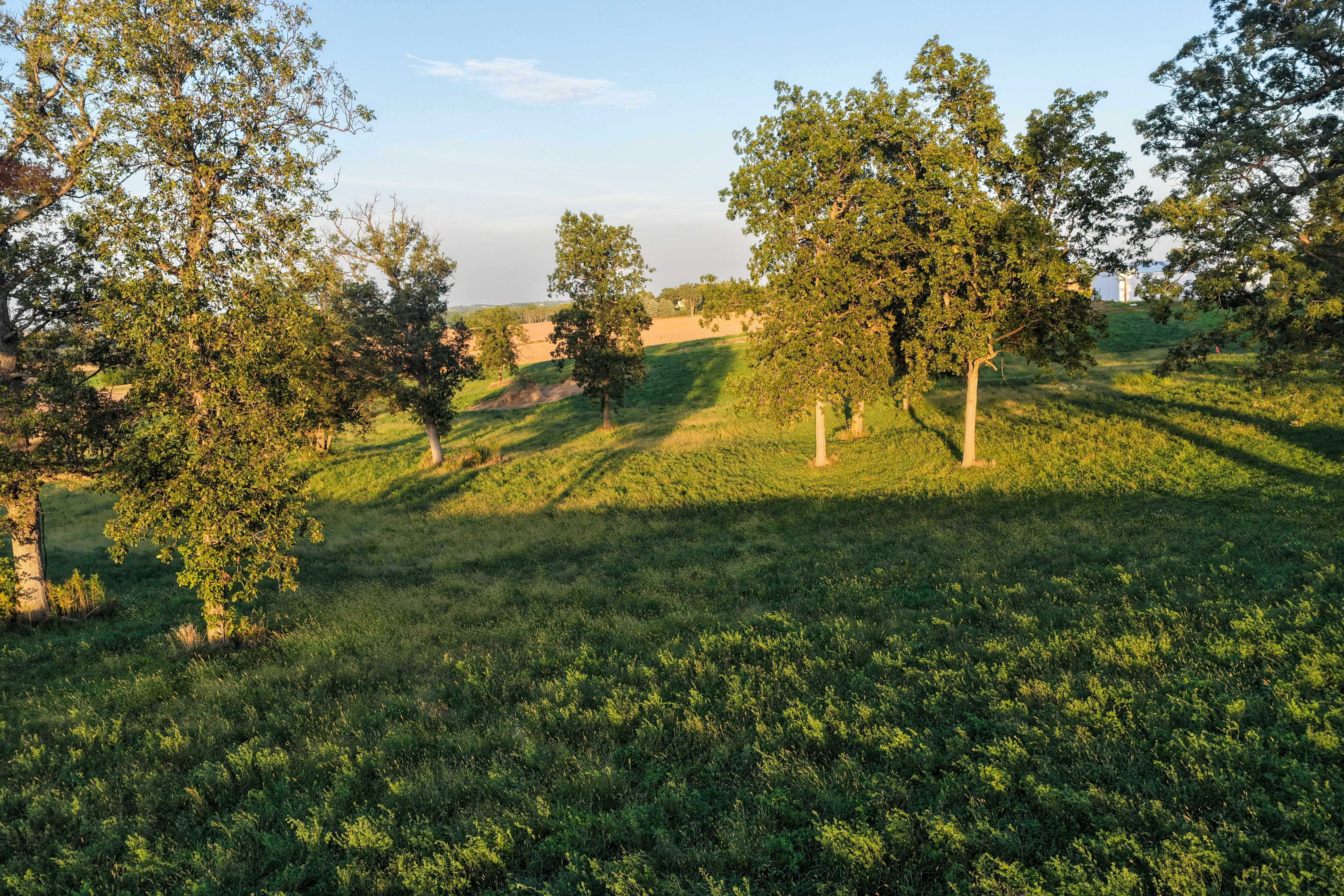Listing Photo: Johnson County 4 Acre Building Site For Sale 3